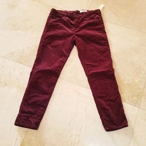 Anthropologie Red Cranberry Velvet Jeans/Pants 32 NEW WITH TAGS